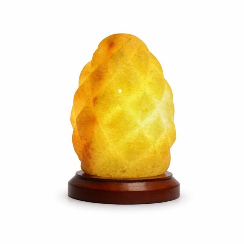 Rock Salt Lamp
