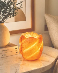 Still - Rock Salt Origin Lamp -- Luxury Rock Salt